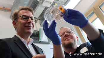 Miniatur-Organe sollen Krebstherapien verbessern: Minister Blume besucht Eröffnung des COS in Garching