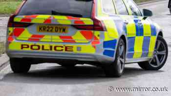 Girl, 9, dies in horror crash as two others in hospital and police flood scene