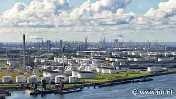 Meer konijnen moeten Rotterdamse haven van stikstofslot halen
