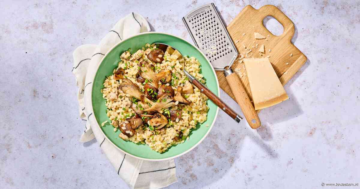 Wat Eten We Vandaag: Orzo met kip en paddenstoelen