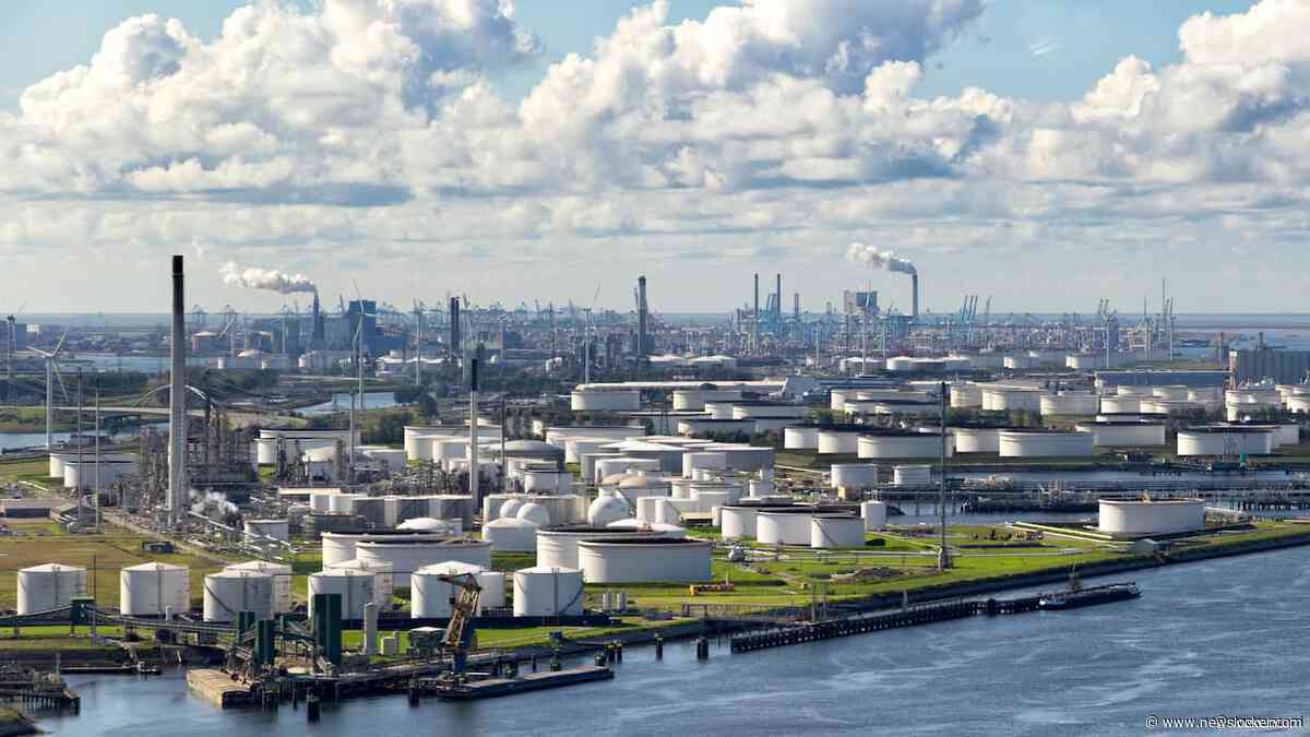 Meer konijnen moeten Rotterdamse haven van stikstofslot halen