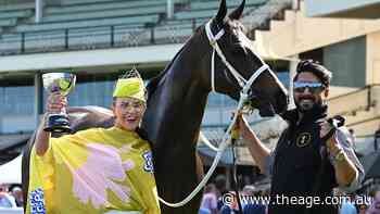 Nat Young told her partner to fork out $70k for a horse. On Saturday, they could land a $1.8m return