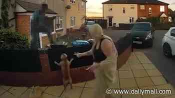 Moment terrified delivery driver scrambles over fence to escape customer's small dogs
