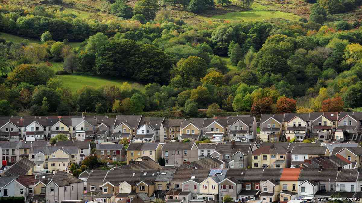 Foreign nationals should be banned from social housing in Wales, Reform UK say