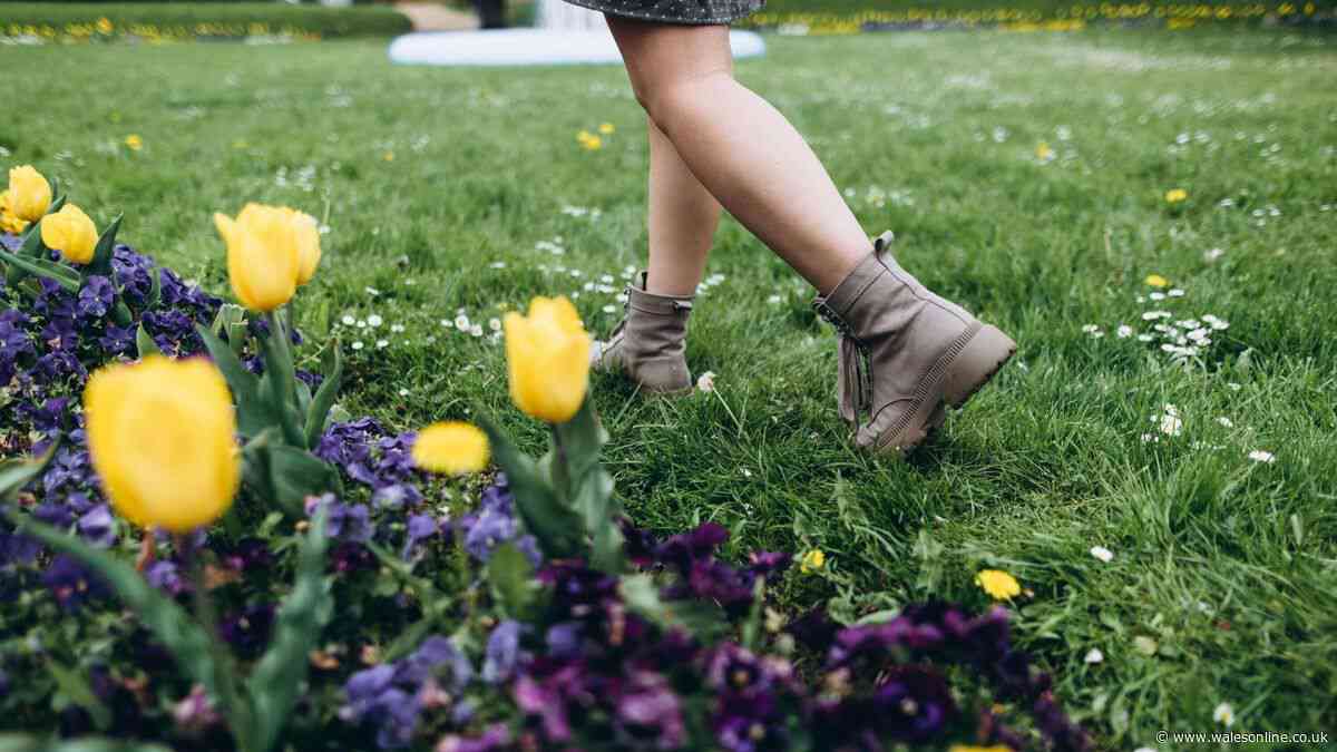 Gardeners urged to try the 'footprint test' this October to check if your lawn needs water