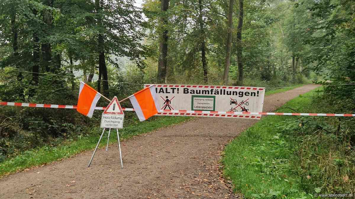 Altonas Förster verzweifelt an Waldbesuchern: „Ist irre und lebensgefährlich“