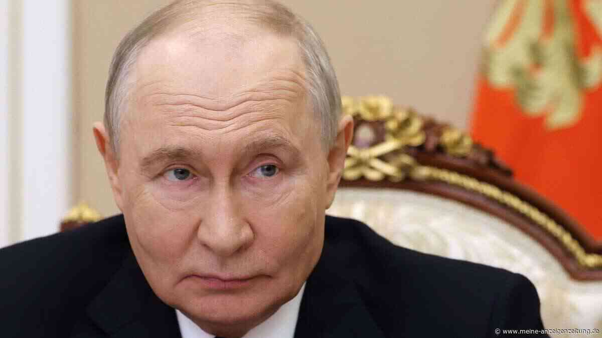 Krokodil, Tigerjunges, Bettbezug mit Berlusconi: Putins skurrilste Geburtstagsgeschenke aus 27 Jahren