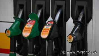 Google Maps to show cheapest petrol prices after launch of new feature