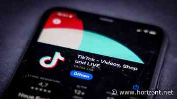 KI-Agenten und Checkout: Tiktok baut Agentic-Commerce aus