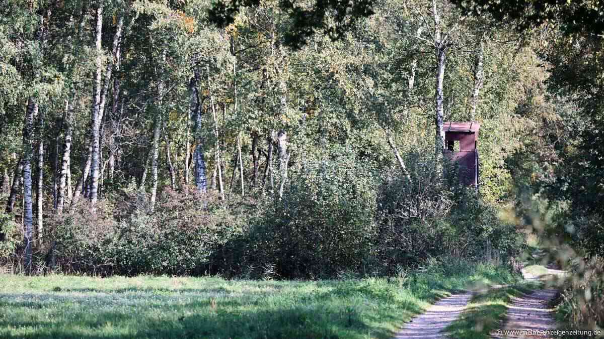 Streift ein Puma durch Oberbayern? Was bisher bekannt ist