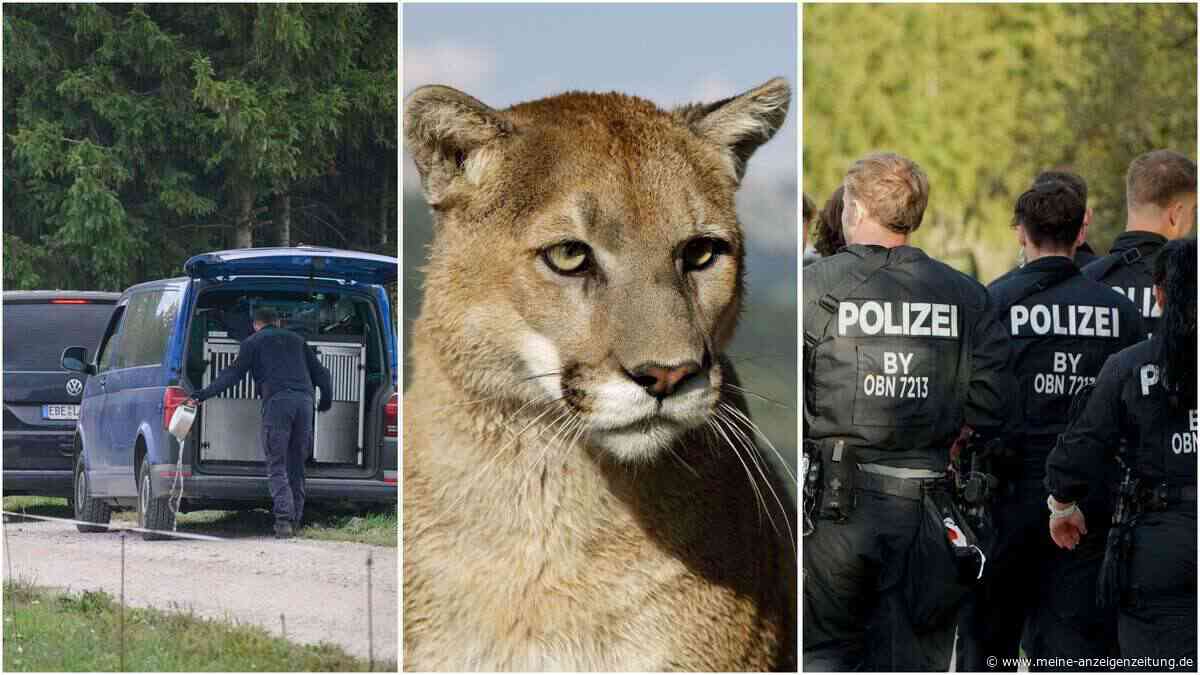 Puma-Alarm nahe des Münchner Flughafens – Bilder der großangelegten Suchaktion