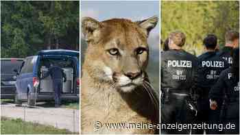 Puma-Alarm nahe des Münchner Flughafens – Bilder der großangelegten Suchaktion