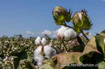 ICE cotton futures fall on strong dollar, weak crude oil