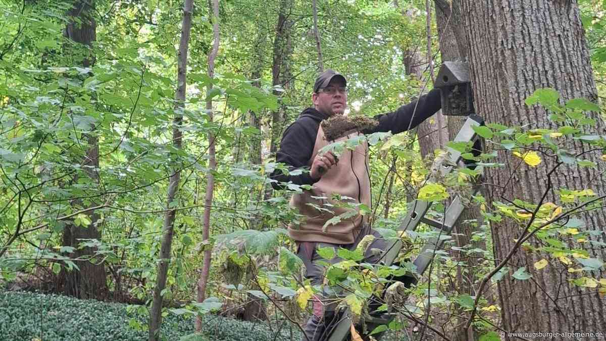 Kleiber und Siebenschläfer fühlen sich in der Weiherhalde wohl