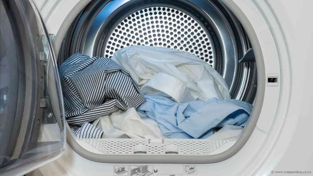 Stop putting 5 items in your tumble dryer or risk ruined clothing