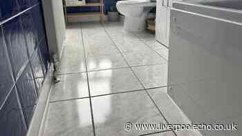 I cleaned my floors with 1 cheap item that made my whole home smell like autumn