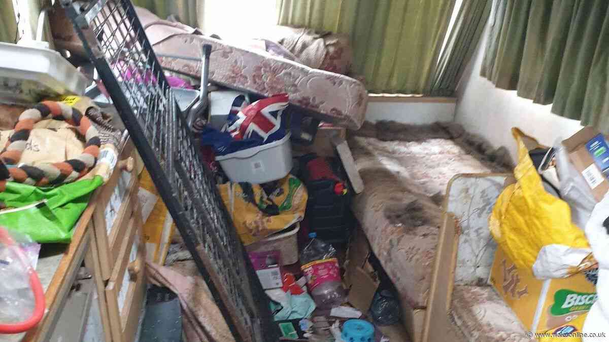 Woman handed lifetime dog ban after 21 animals found 'stained in poo' in caravan