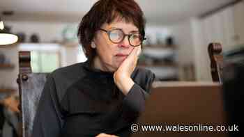 'Sophisticated' scams selling non-existent products soar