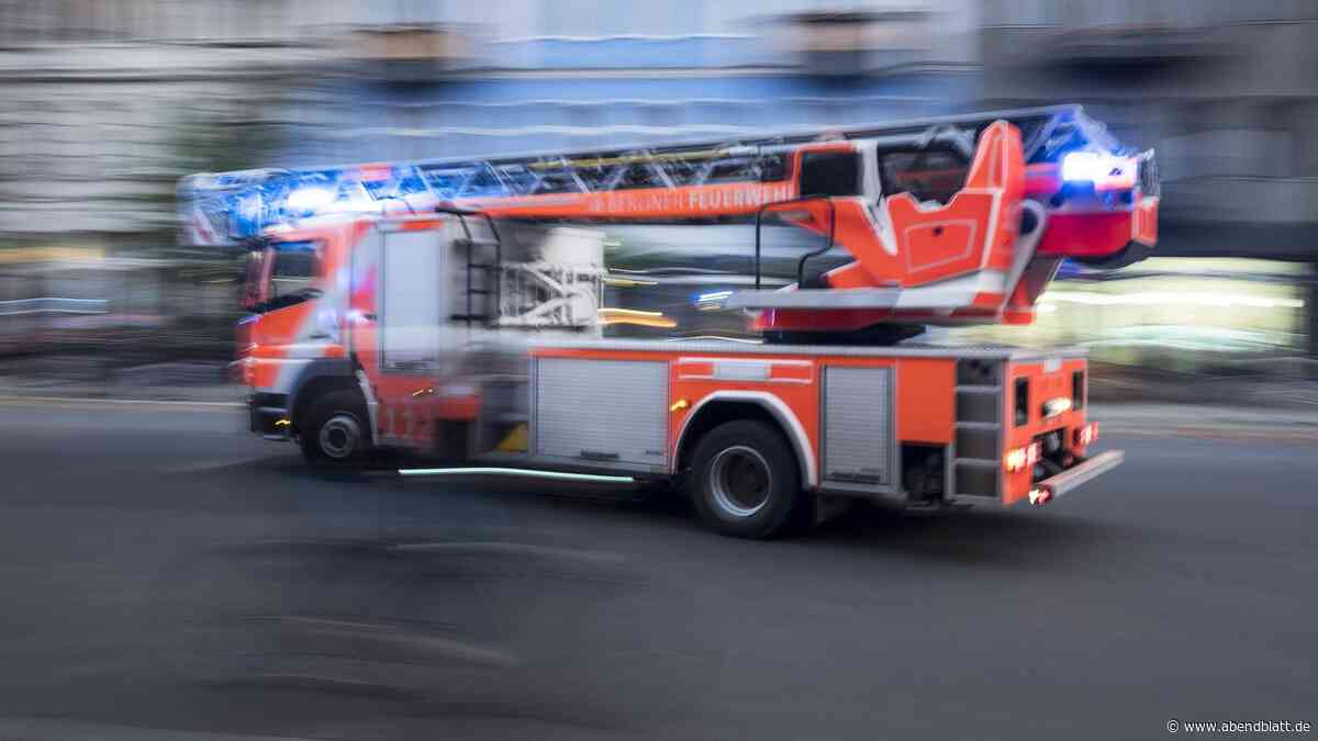 Fassadenteile stürzen auf Gehweg und Straße – Grindelallee zeitweise gesperrt