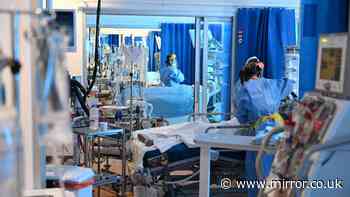 XFG American Covid strain and its impact on UK hospitals - everything we know