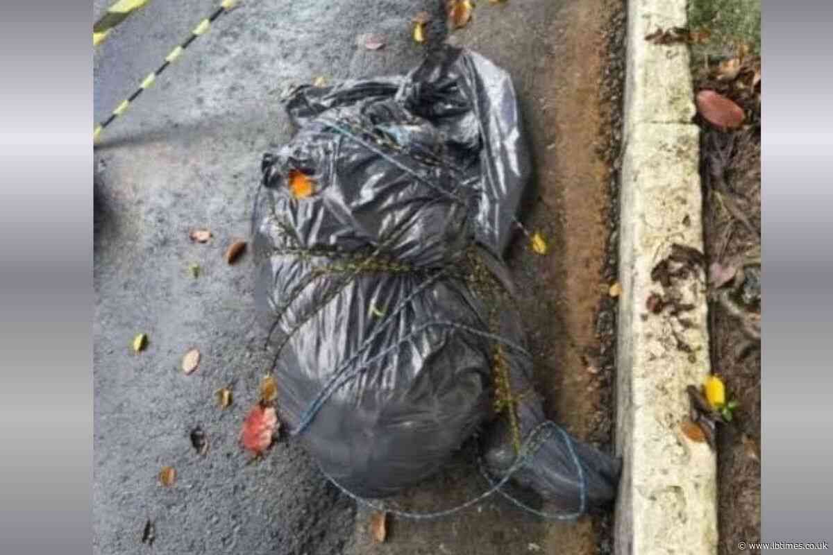 Nine Bodies Found in Bags and Fabric Across São Paulo Fuel Serial Killer Claims as Police Probe Possible Gang Killings