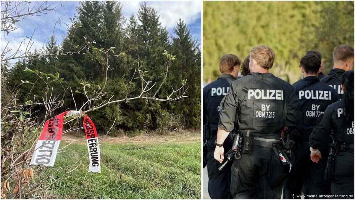 Puma nahe des Münchner Flughafens? Was bislang bekannt ist – und was nicht