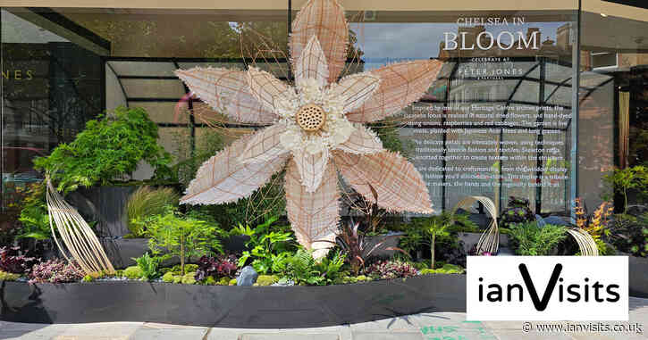 Tickets Alert: Chelsea Flower Show tickets going on sale shortly