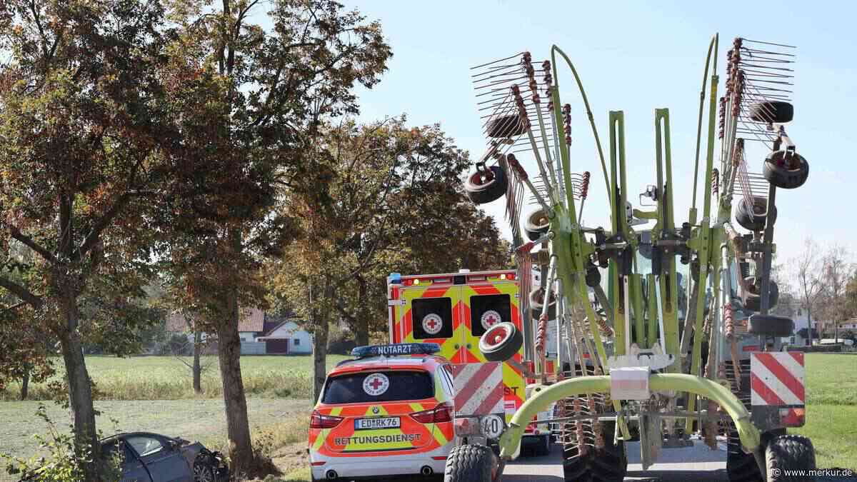 Bulldog biegt ab, VW kracht in Baum: Zwei Kleinkinder im Auto