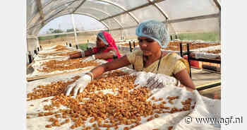 India vindt nieuwe markt met gedroogd fruit