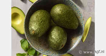 Mission Produce breidt Fairtrade-programma avocado's uit