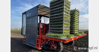 Nieuwe plantmachine haalt tot 11.000 planten per uur per robot