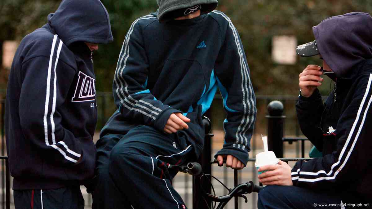 Youths throwing stones at houses as police step up patrols in four parts of Coventry