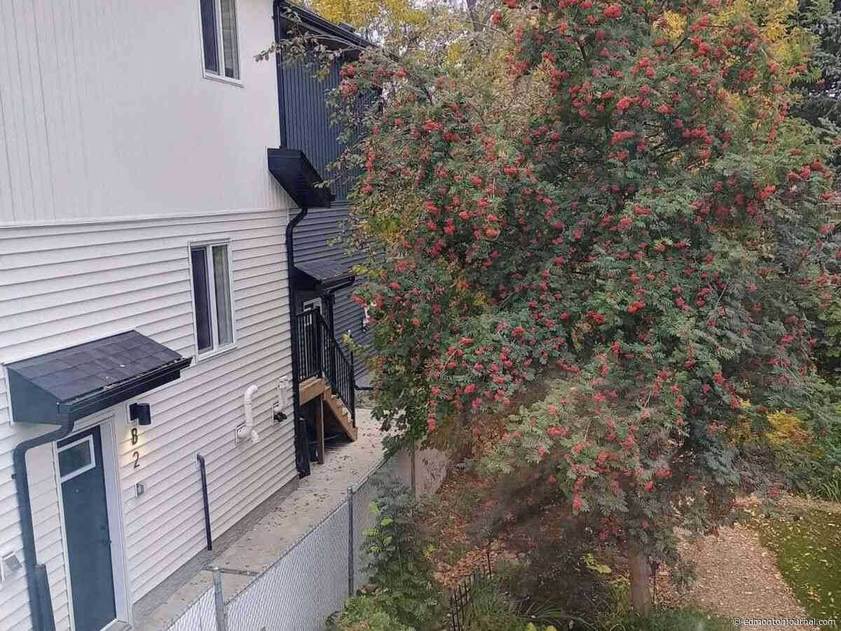 Lorne Gunter: Province set to step in and stop mad rush of poorly controlled infill