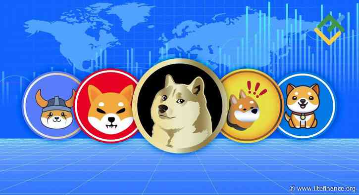 Meme Coins Explained: What They Are and How They Work