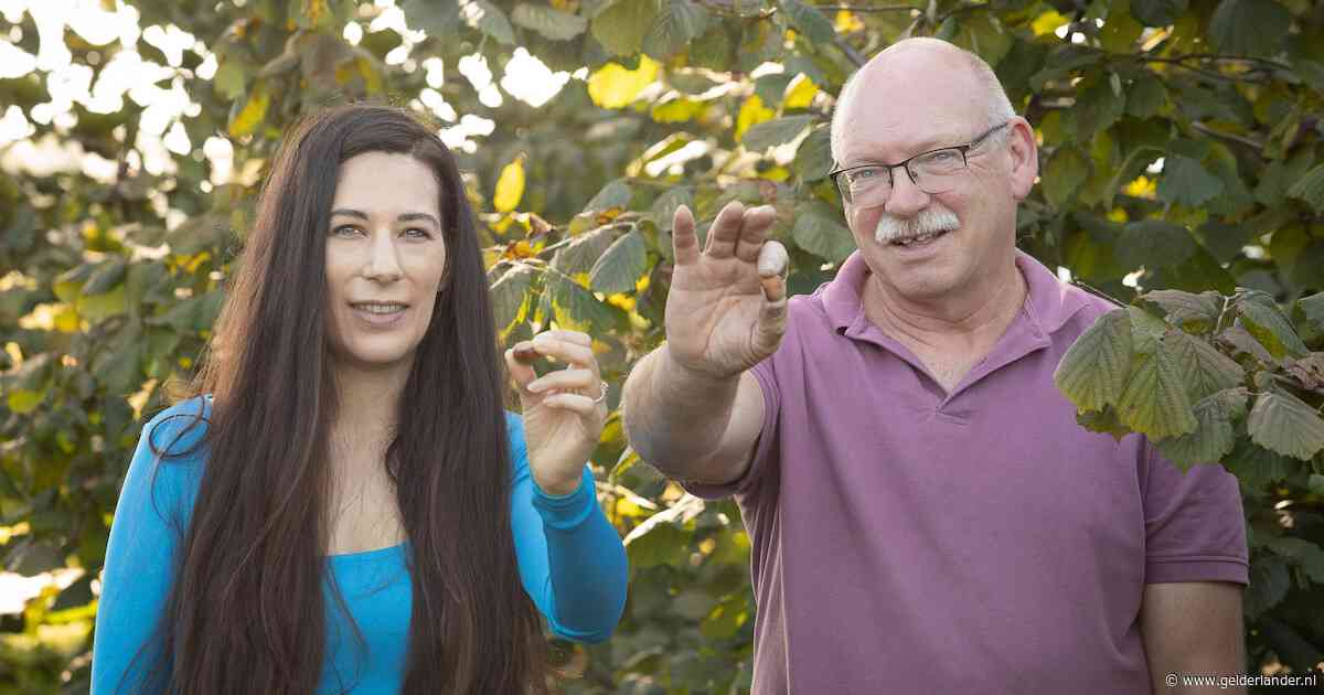 Voormalig veehouder Jan produceert met hazelnoten evenveel eiwit per hectare als met koeien