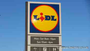 New Lidl £5 trousers look similar to £189 M&S and £45 Next versions - out Sunday