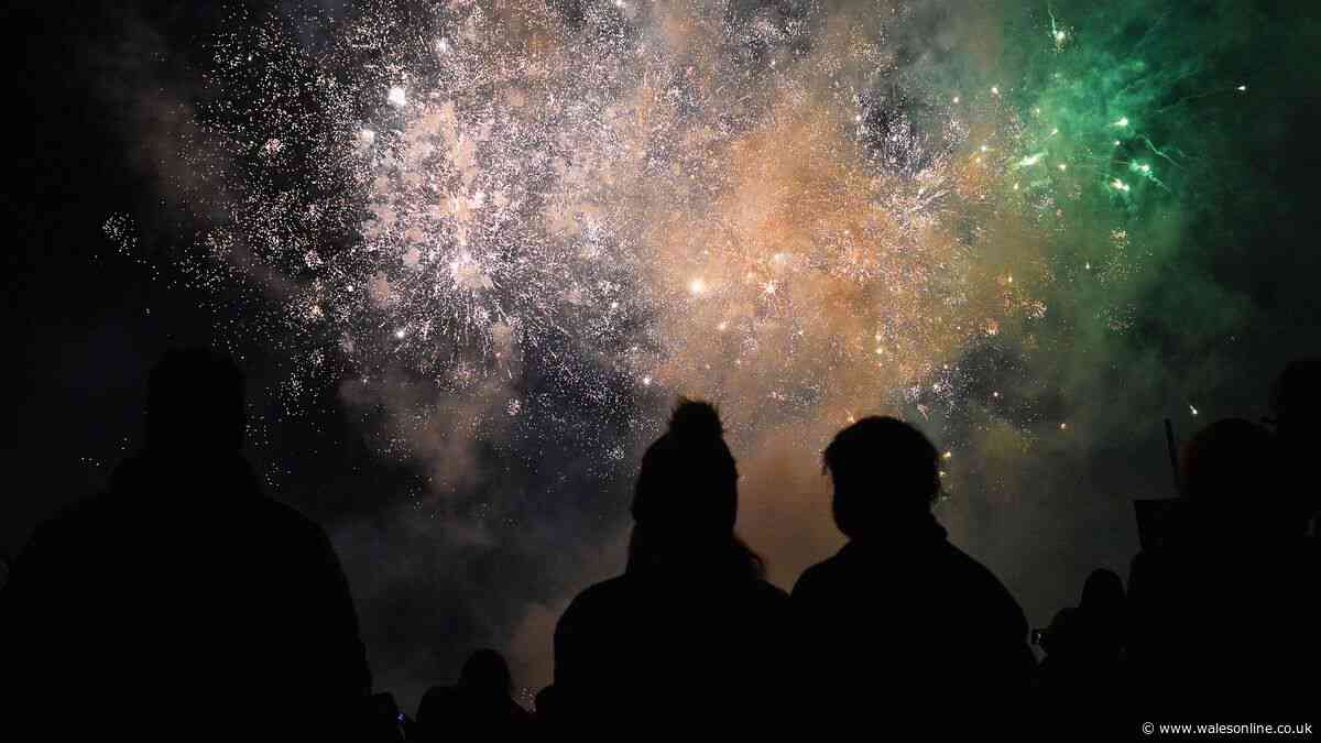 Bonfire night 2026 firework displays and events in and around Swansea
