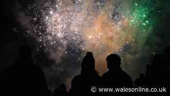 Bonfire night 2026 firework displays and events in and around Swansea