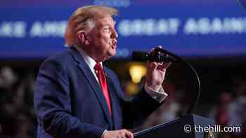 Trump interrupted by protesters at Texas rally: 'They’re paid by enemies of our nation'