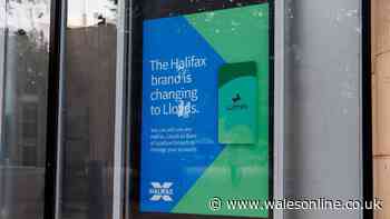 Halifax customers given Friday cost cut in 'rare positive news'