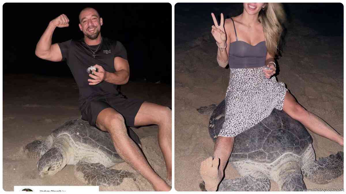 “È una roba oscena, inguardabile. Questo è sfruttamento, maltrattamento, umiliazione, altro che volontariato”: due turisti si fanno fotografare in Oman seduti su una tartaruga, scoppia la polemica
