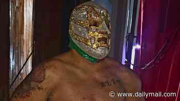 Mexican wrestler arrested on manslaughter charge after veteran referee is killed in tragic stunt gone wrong