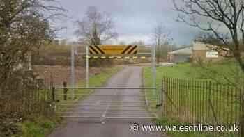 Council has spent more than £500,000 on security at Newport gypsy and traveller site