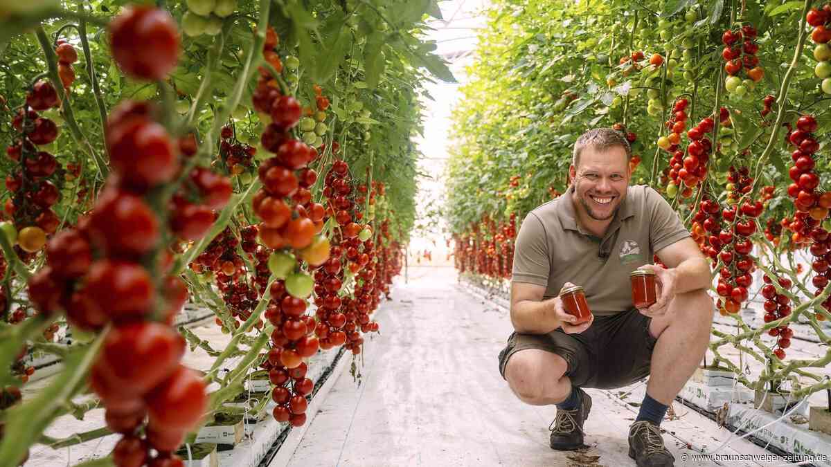 Rot, regional, richtig lecker: So schmeckt Ketchup aus dem Kreis Gifhorn