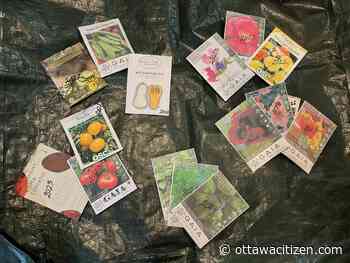 In the garden: Seed-saving is an act of quiet revolution 