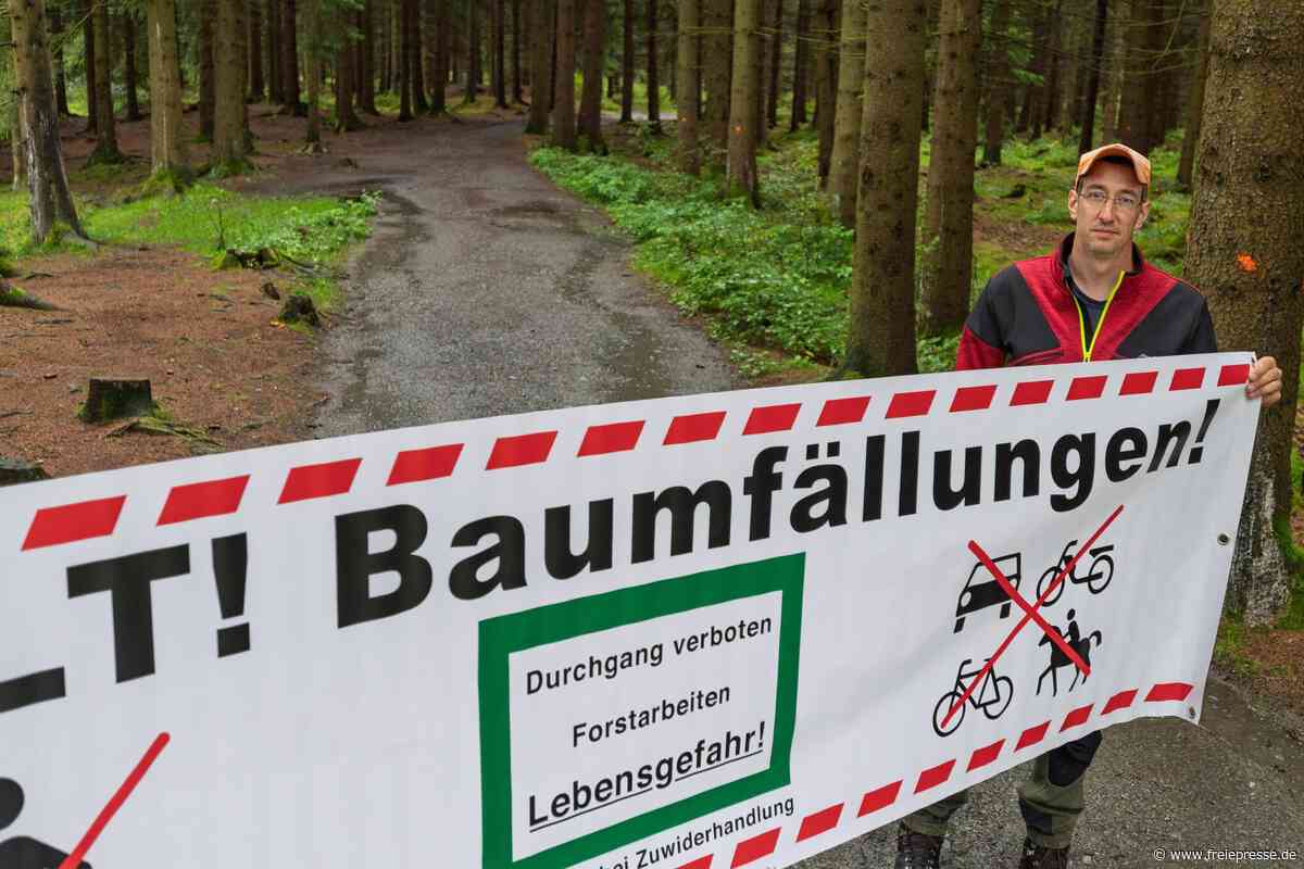 Beliebter Rundweg im Erzgebirge teilweise gesperrt: Holzernte startet später als geplant