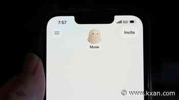 If your friends use Meta Muse, there's a file with your personal information being built
