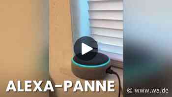 Nutzer verblüfft: Amazons Alexa bleibt in Dauerschleife hängen und singt „Lalala“