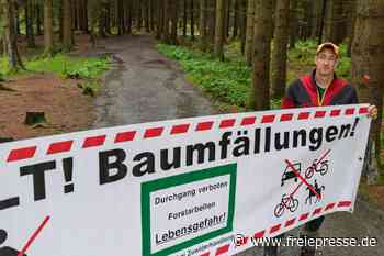Beliebter Wanderweg im Erzgebirge teilweise gesperrt: Holzernte startet später als geplant
