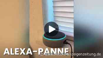 Nutzer verblüfft: Amazons Alexa bleibt in Dauerschleife hängen und singt „Lalala“
